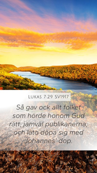 Lukas 7:29 SV1917 Bible Verse Image