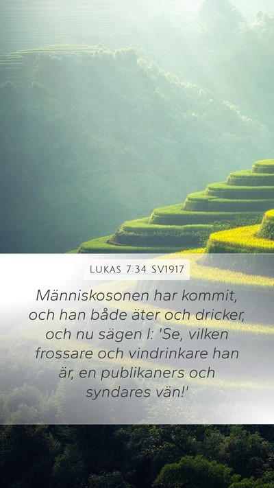 Lukas 7:34 SV1917 Bible Verse Image