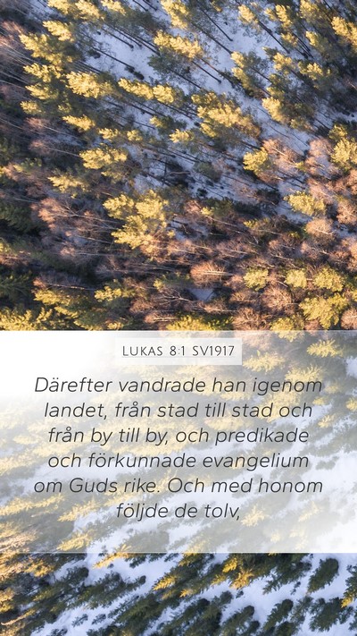 Lukas 8:1 SV1917 Bible Verse Image