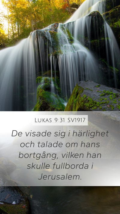 Lukas 9:31 SV1917 Bible Verse Image