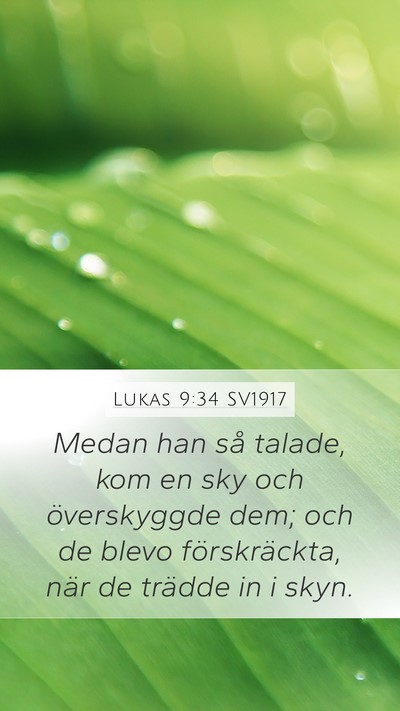 Lukas 9:34 SV1917 Bible Verse Image