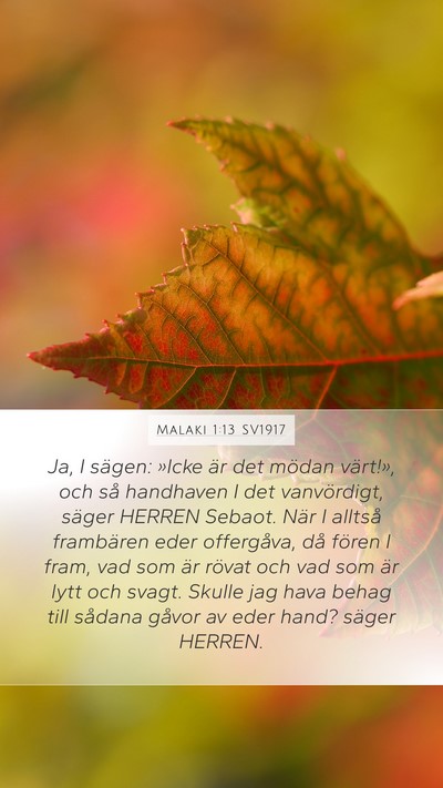 Malaki 1:13 SV1917 Bible Verse Image