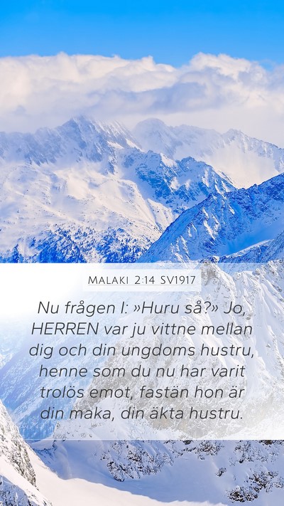 Malaki 2:14 SV1917 Bible Verse Image