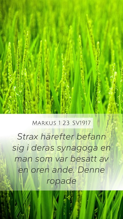 Markus 1:23 SV1917 Bible Verse Image