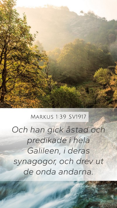 Markus 1:39 SV1917 Bible Verse Image
