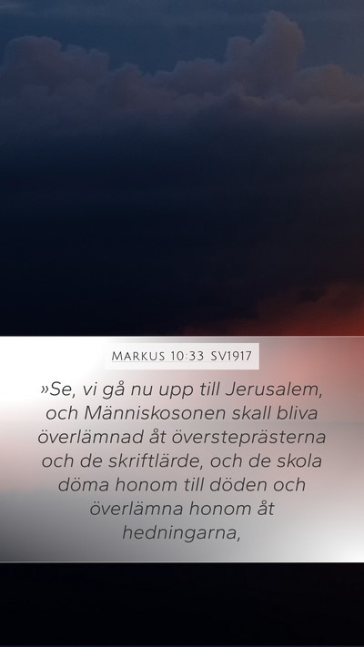 Markus 10:33 SV1917 Bible Verse Image