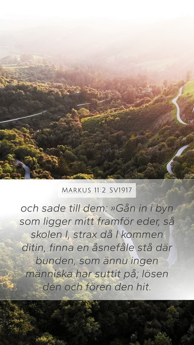 Markus 11:2 SV1917 Mobile Phone Wallpaper - och sade till dem: »Gån in i byn som ligger - Mobile Bible Verse Wallpaper