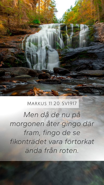 Markus 11:20 SV1917 Bible Verse Image