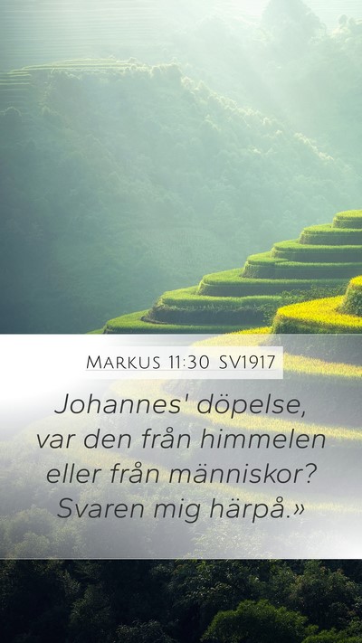 Markus 11:30 SV1917 Mobile Phone Wallpaper - Johannes' döpelse, var den från himmelen eller - Mobile Bible Verse Wallpaper
