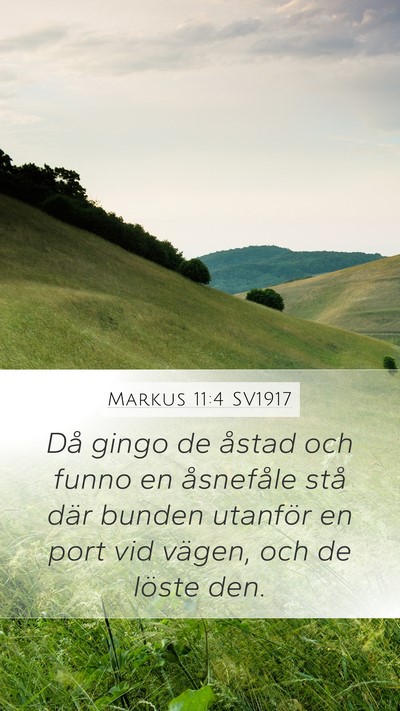 Markus 11:4 SV1917 Mobile Phone Wallpaper - Då gingo de åstad och funno en åsnefåle stå - Mobile Bible Verse Wallpaper