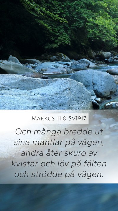 Markus 11:8 SV1917 Mobile Phone Wallpaper - Och många bredde ut sina mantlar på vägen, - Mobile Bible Verse Wallpaper