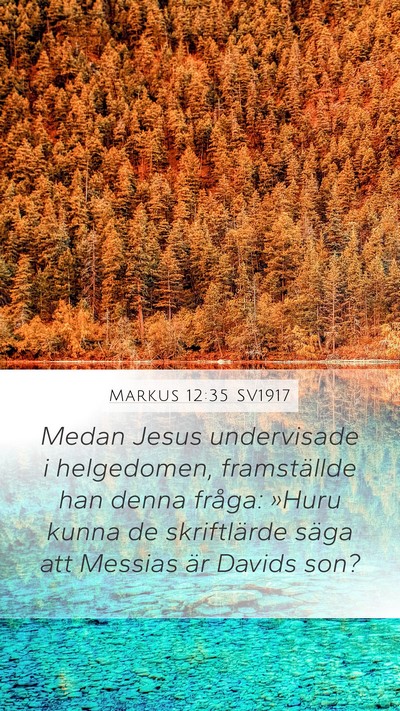 Markus 12:35 SV1917 Bible Verse Image