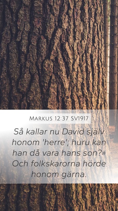 Markus 12:37 SV1917 Mobile Phone Wallpaper - Så kallar nu David själv honom 'herre'; huru - Mobile Bible Verse Wallpaper