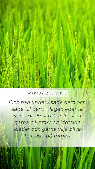 Markus 12:38 SV1917 Bible Verse Image