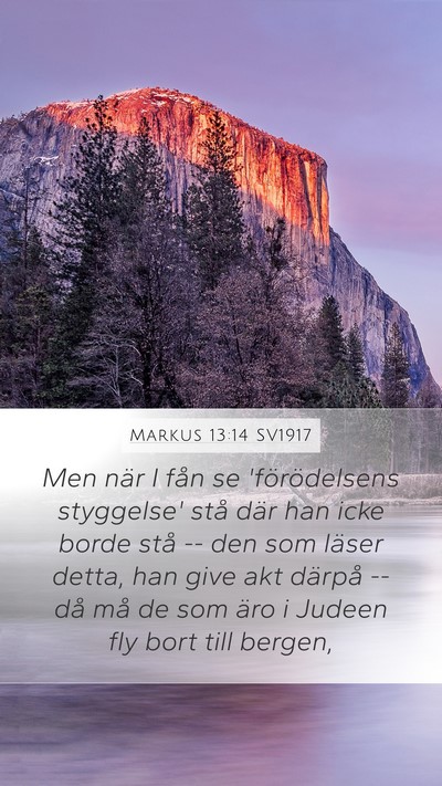 Markus 13:14 SV1917 Bible Verse Image