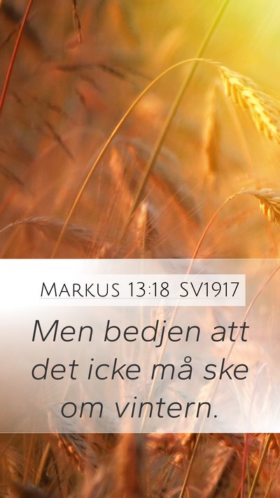 Markus 13:18 SV1917 Mobile Phone Wallpaper - Men bedjen att det icke må ske om - Mobile Bible Verse Wallpaper