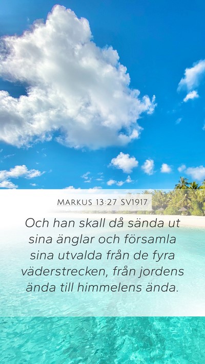 Markus 13:27 SV1917 Bible Verse Image