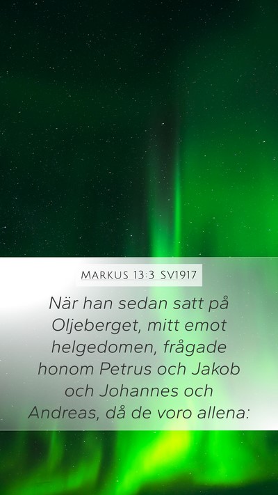 Markus 13:3 SV1917 Bible Verse Image