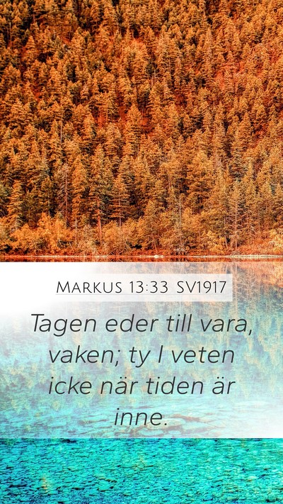 Markus 13:33 SV1917 Bible Verse Image