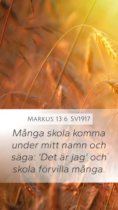 Markus 13:6 SV1917 Mobile Phone Wallpaper - Många skola komma under mitt namn och säga: - Mobile Bible Verse Wallpaper