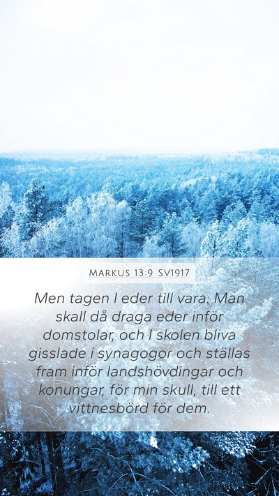 Markus 13:9 SV1917 Bible Verse Image
