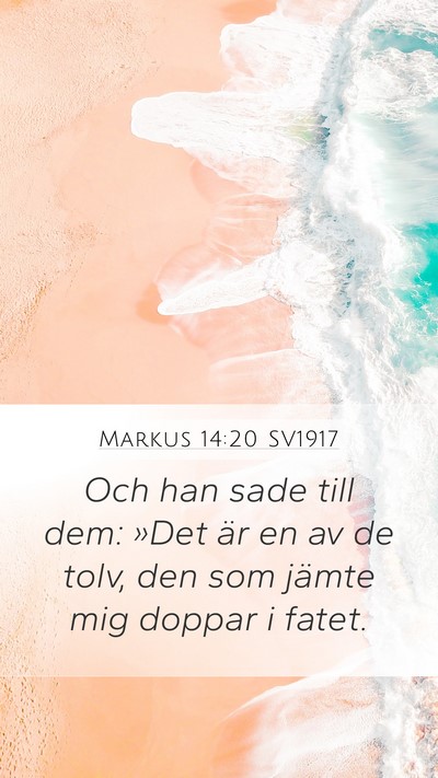 Markus 14:20 SV1917 Bible Verse Image