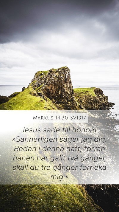 Markus 14:30 SV1917 Bible Verse Image