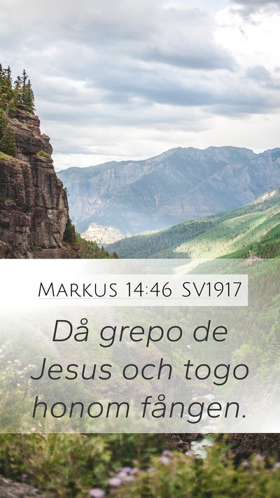 Markus 14:46 SV1917 Mobile Phone Wallpaper - Då grepo de Jesus och togo honom - Mobile Bible Verse Wallpaper