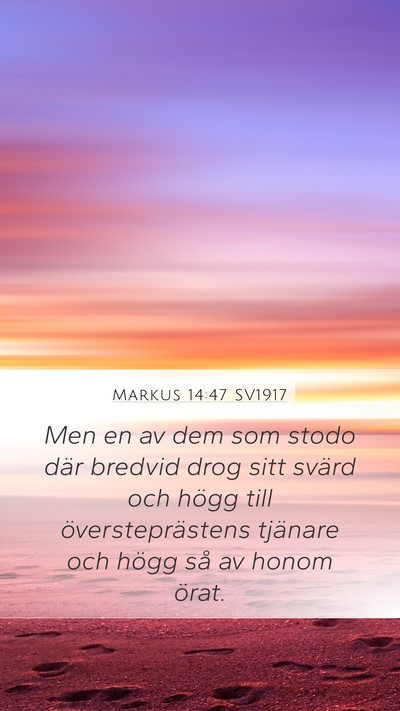 Markus 14:47 SV1917 Bible Verse Image