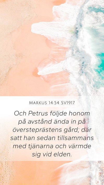 Markus 14:54 SV1917 Bible Verse Image
