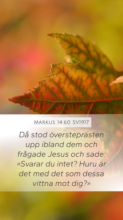 Markus 14:60 SV1917 Bible Verse Image