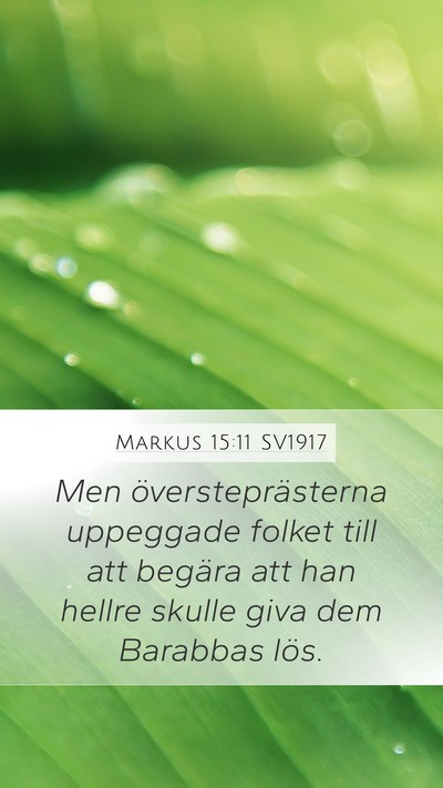 Markus 15:11 SV1917 Bible Verse Image