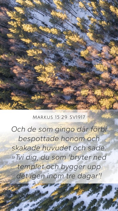 Markus 15:29 SV1917 Bible Verse Image