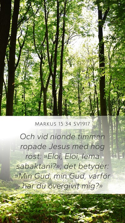 Markus 15:34 SV1917 Bible Verse Image