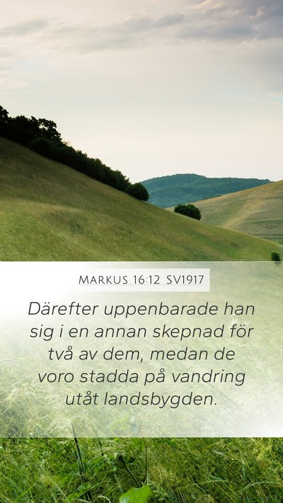 Markus 16:12 SV1917 Mobile Phone Wallpaper - Därefter uppenbarade han sig i en annan skepnad - Mobile Bible Verse Wallpaper