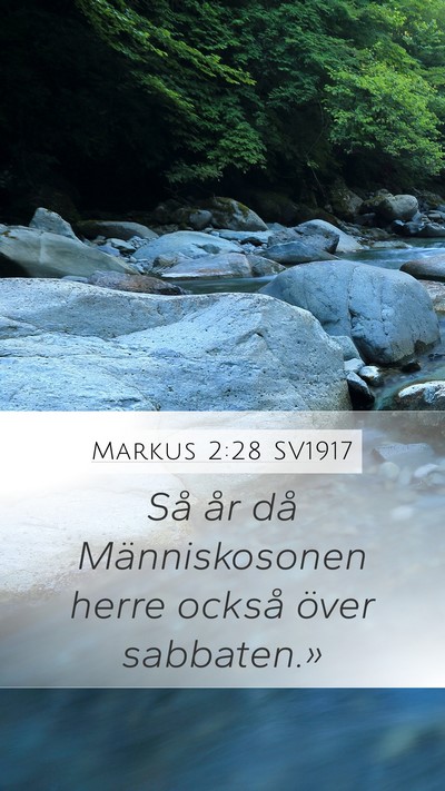 Markus 2:28 SV1917 Mobile Phone Wallpaper - Så år då Människosonen herre också över - Mobile Bible Verse Wallpaper