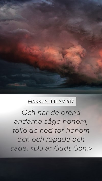 Markus 3:11 SV1917 Bible Verse Image