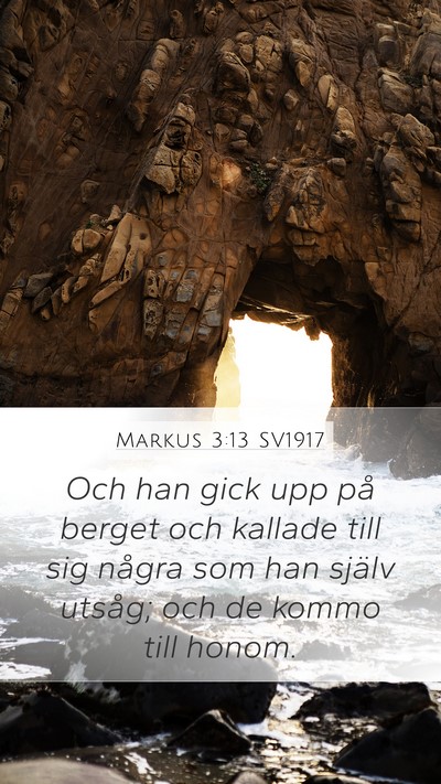 Markus 3:13 SV1917 Bible Verse Image