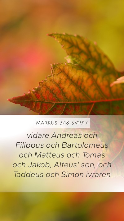 Markus 3:18 SV1917 Bible Verse Image