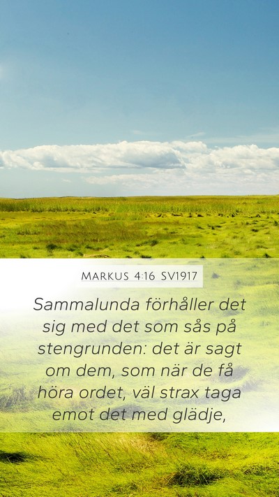Markus 4:16 SV1917 Bible Verse Image