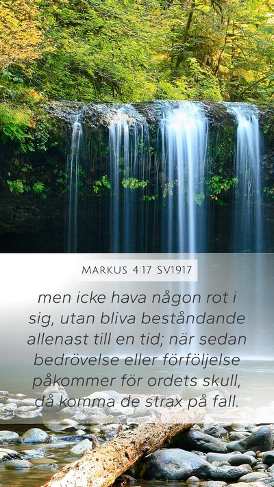 Markus 4:17 SV1917 Bible Verse Image