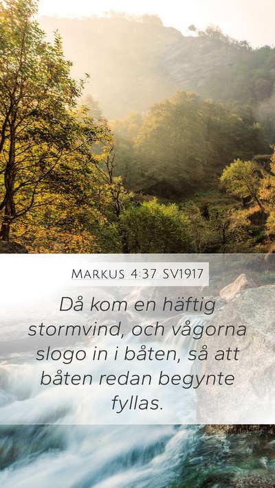 Markus 4:37 SV1917 Bible Verse Image