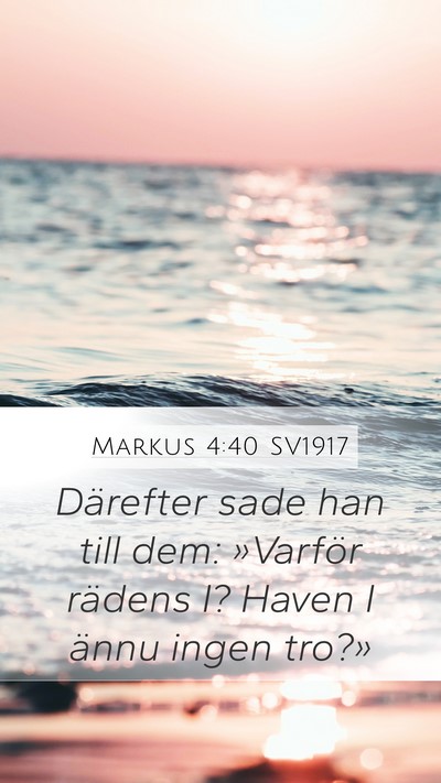 Markus 4:40 SV1917 Bible Verse Image