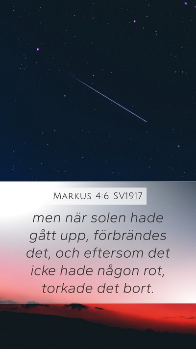 Markus 4:6 SV1917 Bible Verse Image