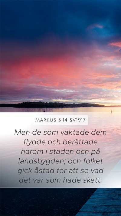Markus 5:14 SV1917 Bible Verse Image