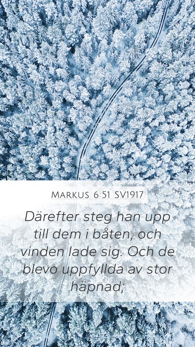 Markus 6:51 SV1917 Bible Verse Image