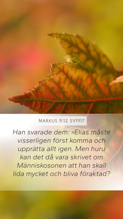 Markus 9:12 SV1917 Mobile Phone Wallpaper - Han svarade dem: »Elias måste visserligen - Mobile Bible Verse Wallpaper