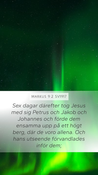 Markus 9:2 SV1917 Bible Verse Image