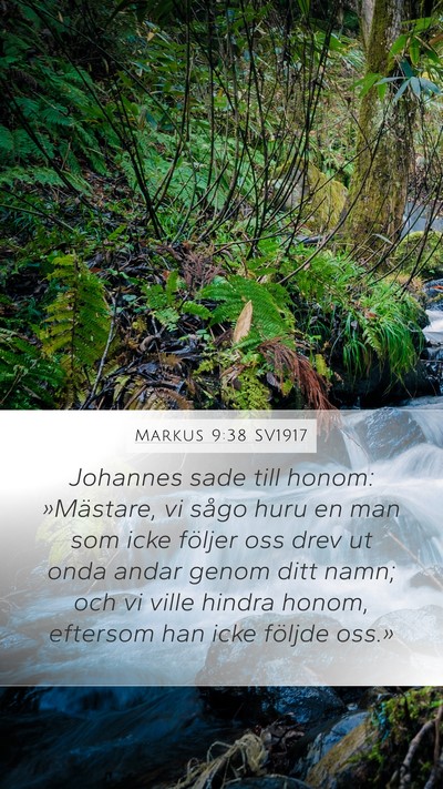 Markus 9:38 SV1917 Bible Verse Image