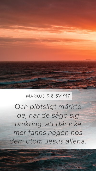 Markus 9:8 SV1917 Mobile Phone Wallpaper - Och plötsligt märkte de, när de sågo sig - Mobile Bible Verse Wallpaper